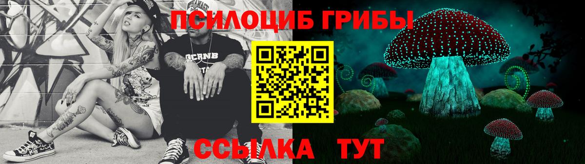 Галлюциногенные грибы Psilocybe  Вход с VPN  Баксан 