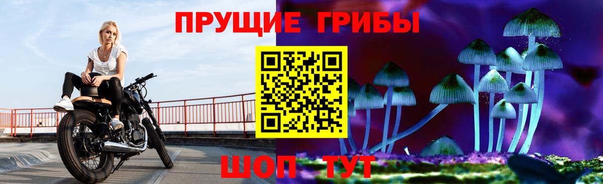 Псилоцибиновые грибы мицелий Баксан